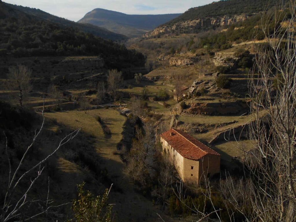 CANTAVELLA – TEIX DEL OMBRADAL - CANTAVELLA.